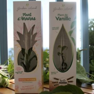 La Vanille Bourbon : douce et parfumée - Herbier de plantes – Ladrôme  Laboratoire